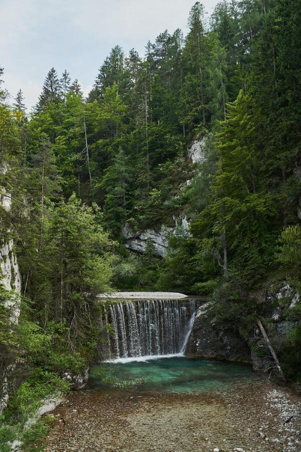 Cozy Apartment In The Heart Of Kranjska Gora Ngoại thất bức ảnh